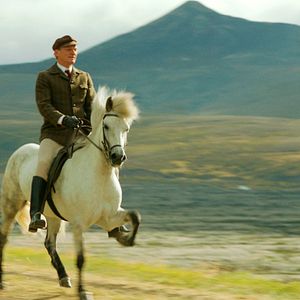 Foto Cavalos e Homens