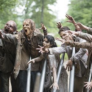 Foto The Walking Dead