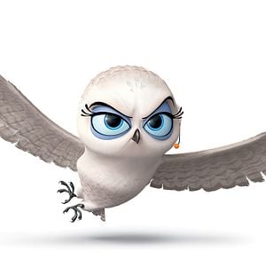 Foto Os Pinguins de Madagascar