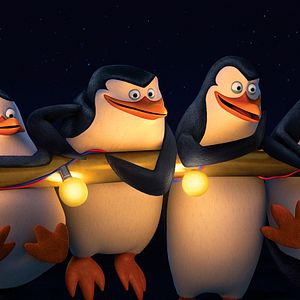 Foto Os Pinguins de Madagascar