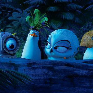 Foto Os Pinguins de Madagascar