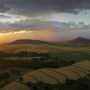 Foto Safári na África
