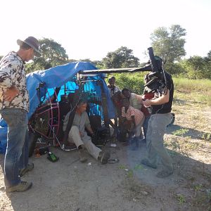 Foto Safári na África