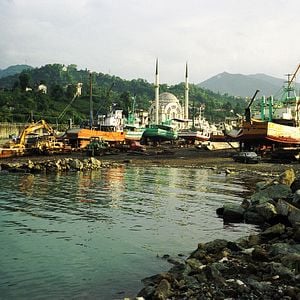 Foto Der Müll im Garten Eden