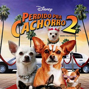 Foto Perdido Pra Cachorro 2