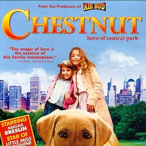 Foto Chestnut – O Herói do Central Park