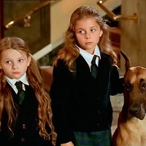 Foto Chestnut – O Herói do Central Park