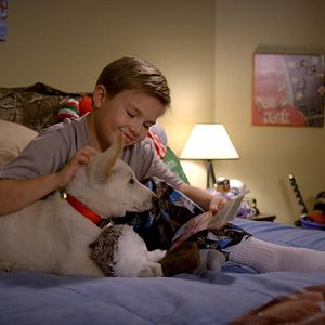 Foto Uma Cachorrinha de Natal