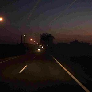 Foto Campo de Flamingos Sem Flamingos