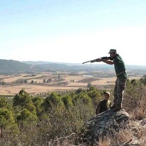 Foto Campo de Flamingos Sem Flamingos