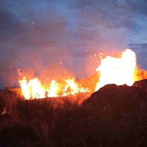 Foto Campo de Flamingos Sem Flamingos