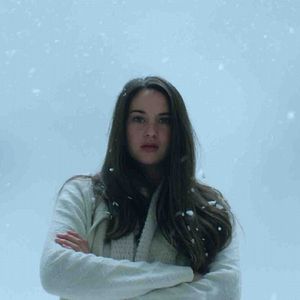 Foto Pássaro Branco na Nevasca