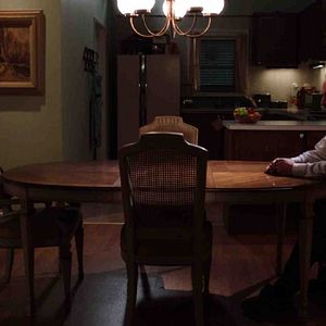 Foto Pássaro Branco na Nevasca