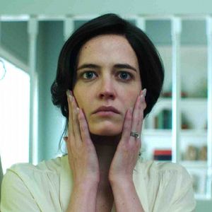 Foto Pássaro Branco na Nevasca