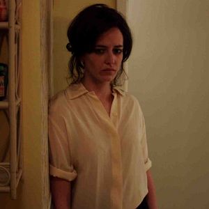 Foto Pássaro Branco na Nevasca