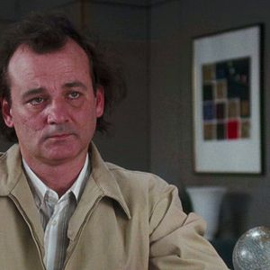 Foto Nosso Querido Bob