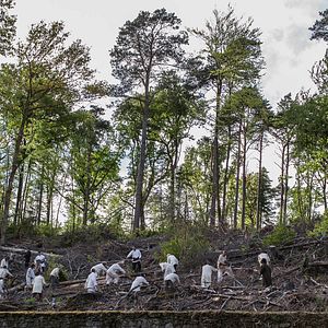 Foto Anton Tchékhov 1890