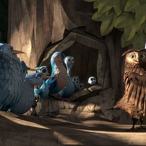 Foto O Passarinho Amarelo