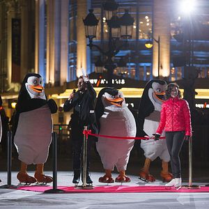 Foto Os Pinguins de Madagascar