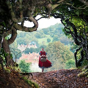 Foto Caminhos Da Floresta