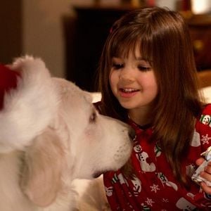 Foto O Melhor Amigo do Papai Noel