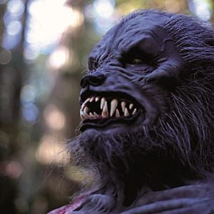 Foto Chapeuzinho Vermelho no Castelo das Trevas