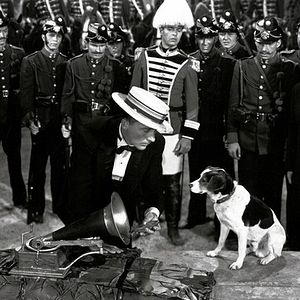 Foto A Valsa do Imperador