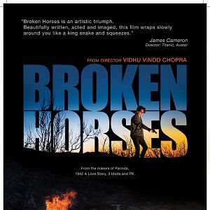 Foto Cavalos Domados