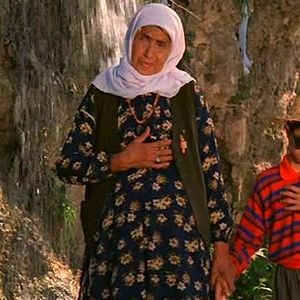 Foto Cor do Paraíso