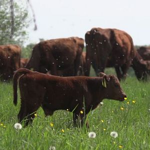 Foto Boas Coisas nos Aguardam