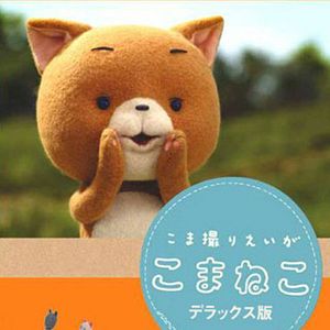 Foto Komaneko, o Gatinho Curioso