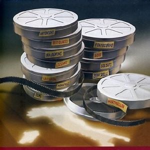 Foto 12 registi per 12 città