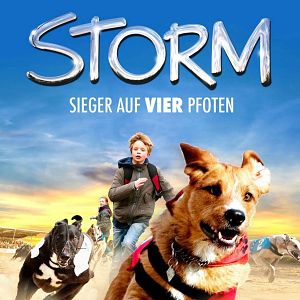 Foto Meu Amigo Storm