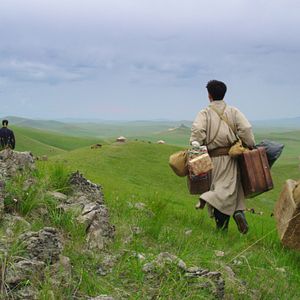 Foto Espírito de Lobo