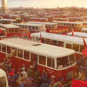 Foto Espírito de Lobo