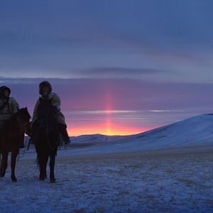 Foto Espírito de Lobo
