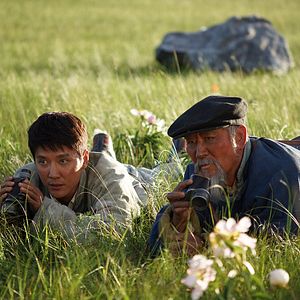 Foto Espírito de Lobo