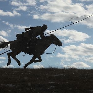 Foto Espírito de Lobo