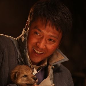 Foto Espírito de Lobo