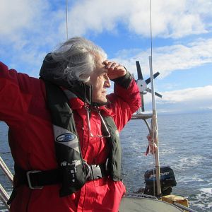 Foto O Botão de Pérola