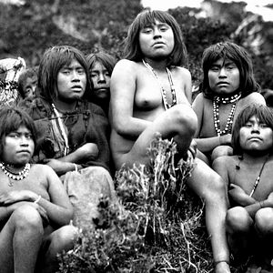 Foto O Botão de Pérola