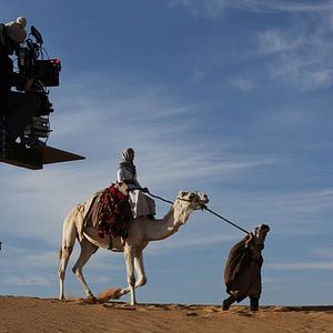 Foto Rainha do Deserto