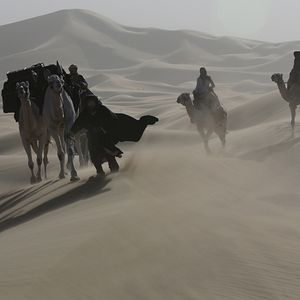 Foto Rainha do Deserto