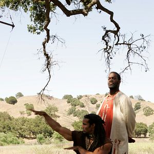 Foto When the Cobra Strikes