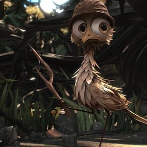 Foto O Passarinho Amarelo