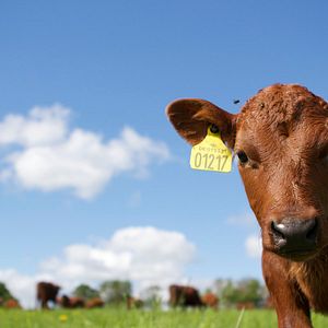 Foto Boas Coisas nos Aguardam