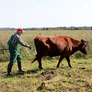 Foto Boas Coisas nos Aguardam