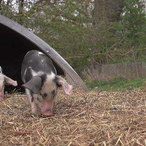 Foto Boas Coisas nos Aguardam