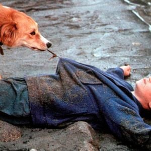 Foto Bingo, Esperto pra Cachorro