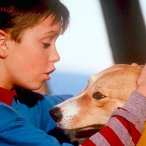 Foto Bingo, Esperto pra Cachorro